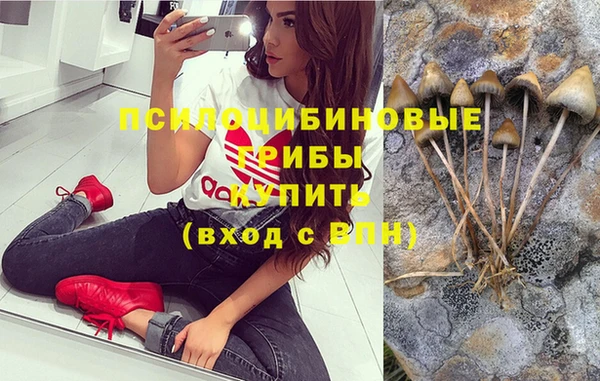 спиды Вяземский