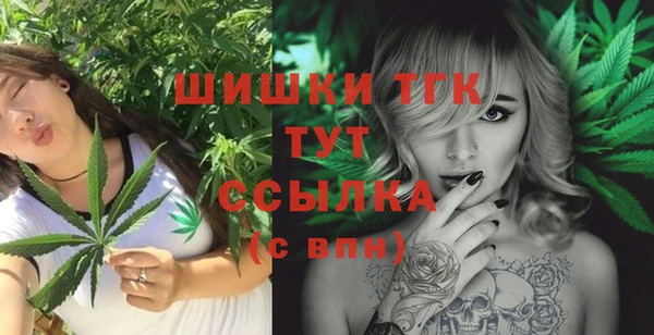 стаф Снежногорск
