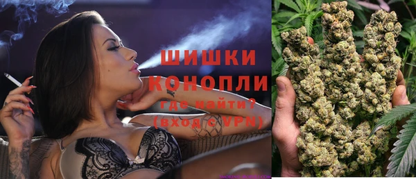 спиды Вяземский