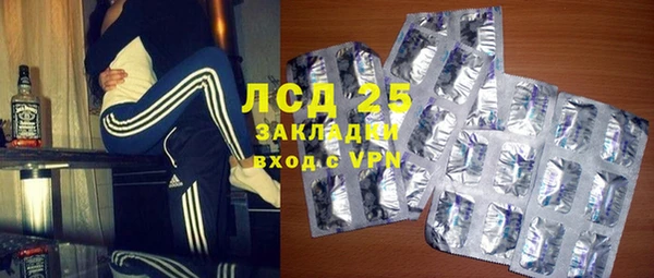 спиды Вяземский