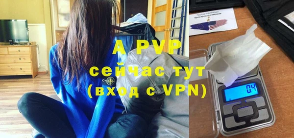 спиды Вяземский