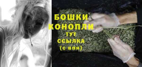 спиды Вяземский