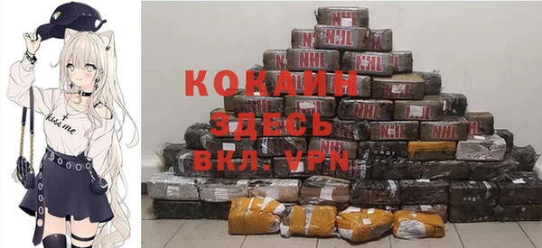 спиды Вяземский