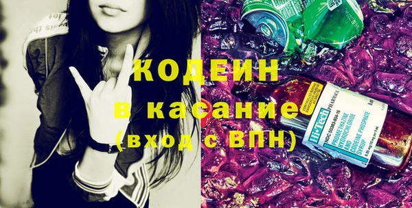спиды Вяземский
