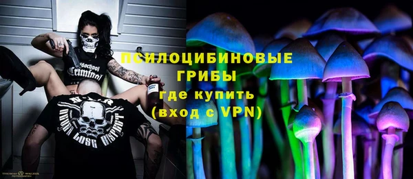 спиды Вяземский