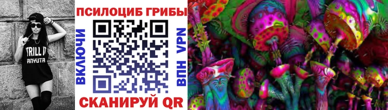 блэк спрут ТОР  Медногорск  даркнет состав  Псилоцибиновые грибы мухоморы 