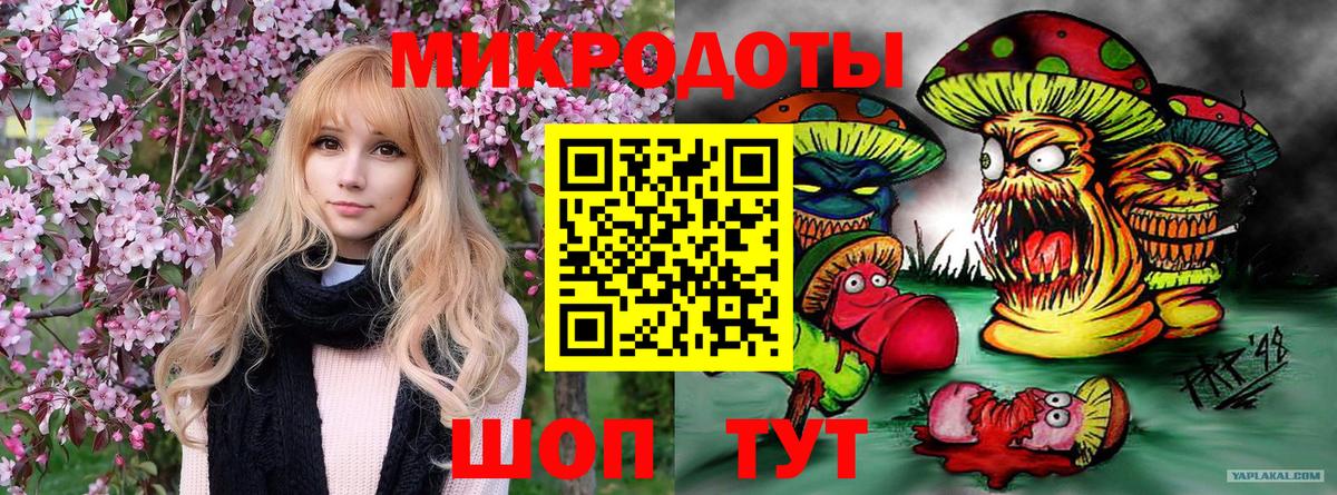 Псилоцибиновые грибы GOLDEN TEACHER  Псилоцибиновые грибы MAGIC MUSHROOMS  Медногорск 