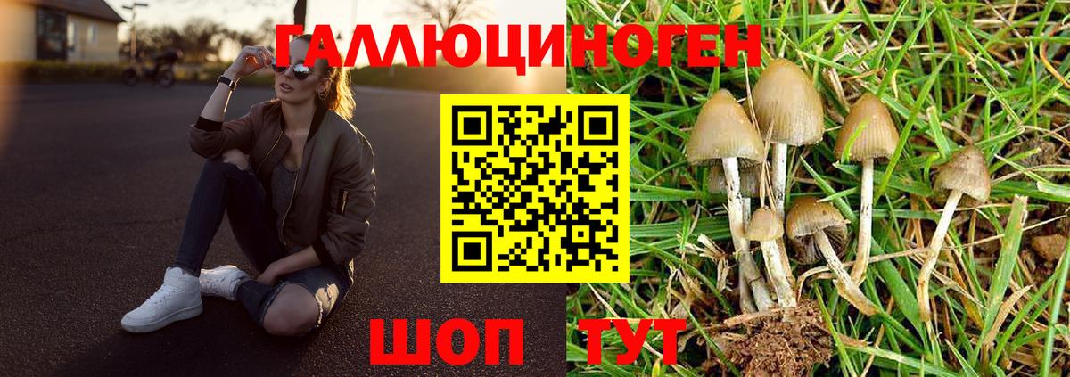 Псилоцибиновые грибы мухоморы Медногорск