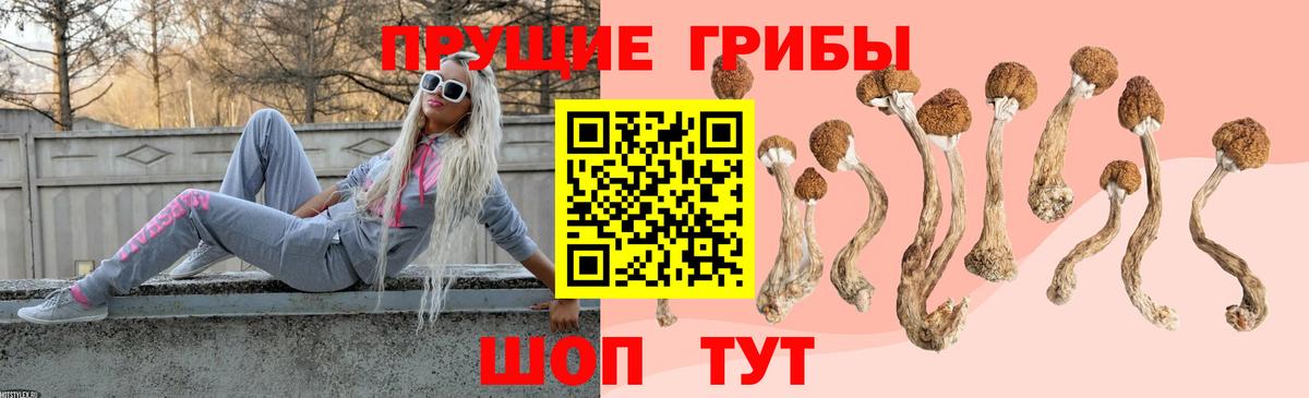 Медногорск  Галлюциногенные грибы мухоморы  Вход с VPN 